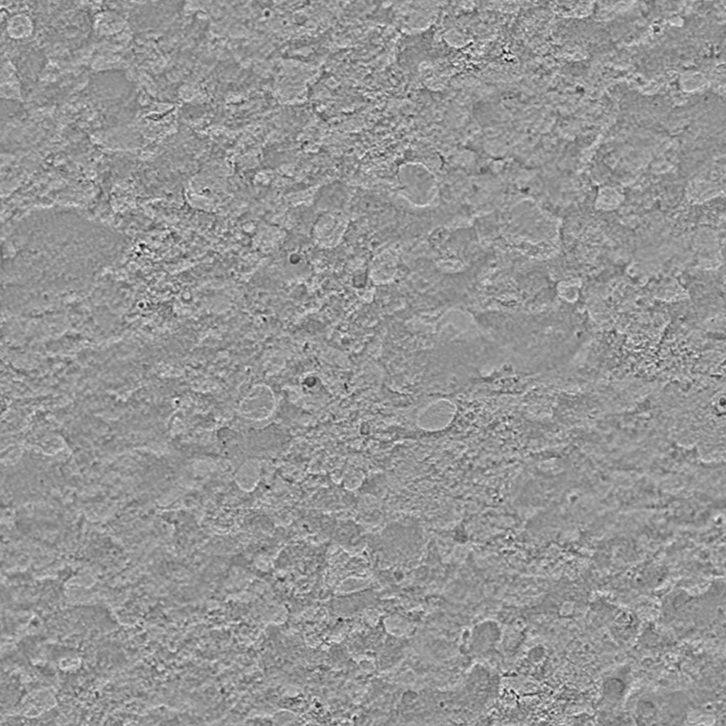 Roughness map
